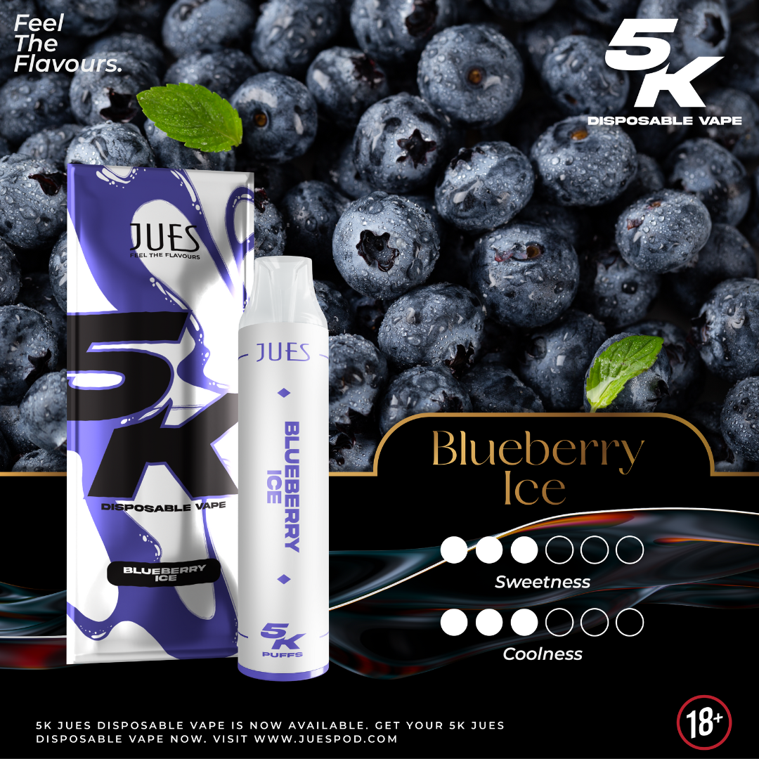 JUES 5K Disposable Vape BLUEBERRY ICE